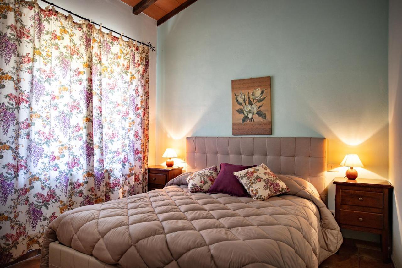 Il Poggio Degli Olivi Villa Bettona Ngoại thất bức ảnh