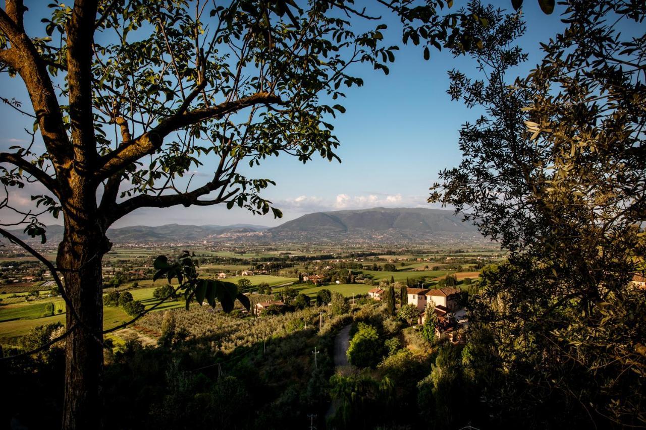 Il Poggio Degli Olivi Villa Bettona Ngoại thất bức ảnh