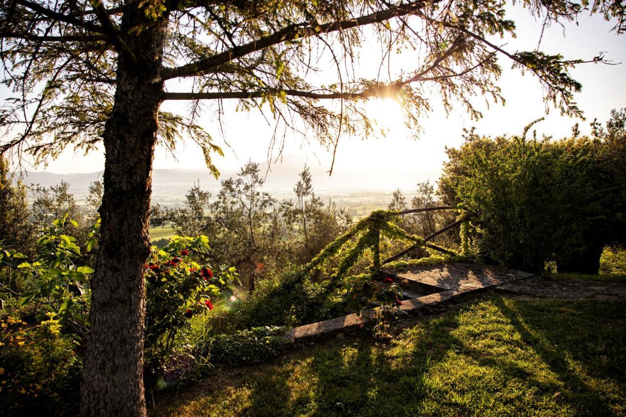 Il Poggio Degli Olivi Villa Bettona Ngoại thất bức ảnh